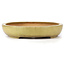 Oval yellow bonsai pot by Hattori - 470 x 355 x 65 mm