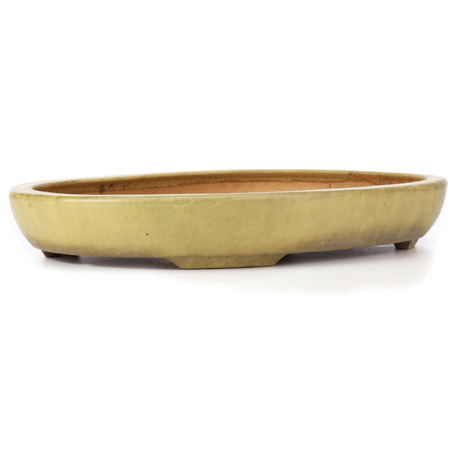 Pot à bonsaï jaune ovale par Hattori - 470 x 355 x 65 mm