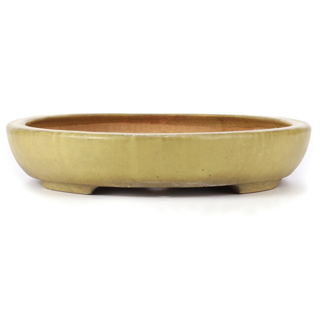 Maceta de bonsái amarilla ovalada de Hattori - 470 x 355 x 65 mm