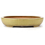 Oval yellow bonsai pot by Hattori - 470 x 355 x 65 mm