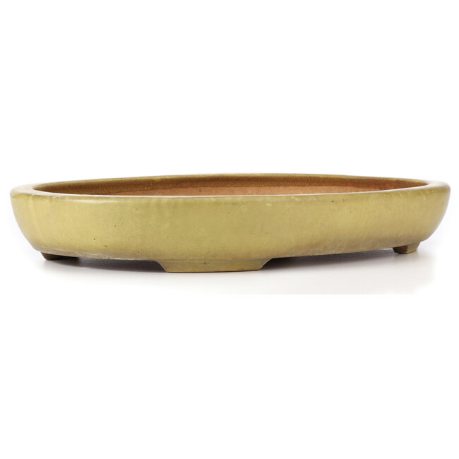 Ovale gelbe Bonsaischale von Hattori - 470 x 355 x 65 mm