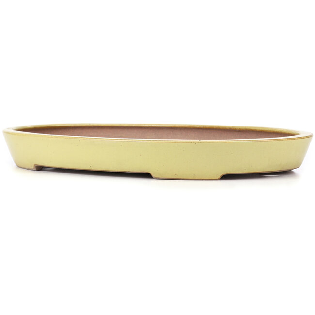 Oval yellow bonsai pot by Reiho - 405 x 275 x 43 mm
