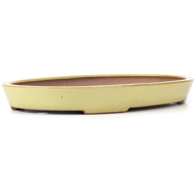 Oval yellow bonsai pot by Reiho - 405 x 275 x 43 mm