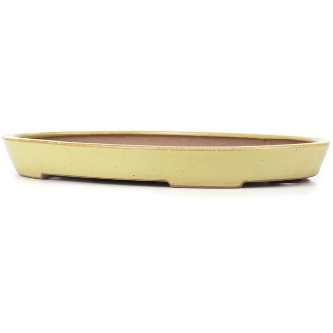 Oval yellow bonsai pot by Reiho - 405 x 275 x 43 mm