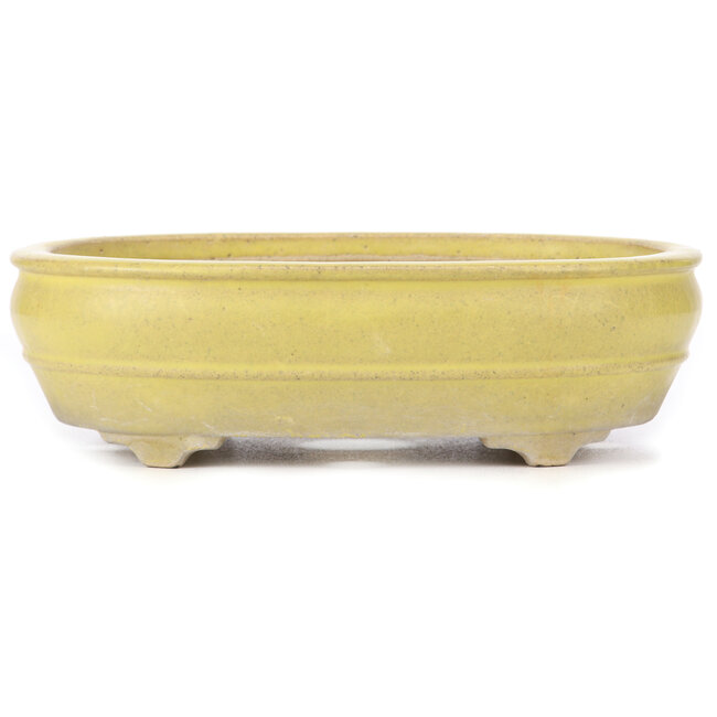 Vaso bonsai giallo ovale - 290 x 215 x 83 mm