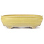 Oval yellow bonsai pot - 290 x 215 x 83 mm