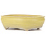 Oval yellow bonsai pot - 290 x 215 x 83 mm