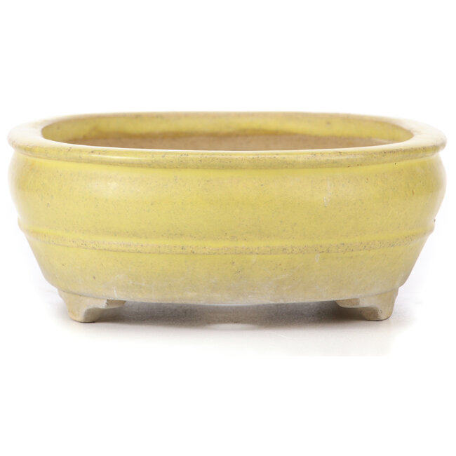Ovale gelbe Bonsaischale - 290 x 215 x 83 mm