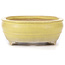 Oval yellow bonsai pot - 290 x 215 x 83 mm