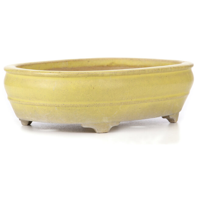 Ovale gele bonsaipot - 290 x 215 x 83 mm