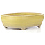 Pot à bonsaï ovale jaune - 290 x 215 x 83 mm