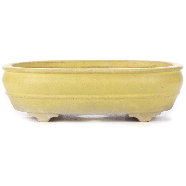 Oval yellow bonsai pot - 290 x 215 x 83 mm