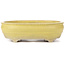 Oval yellow bonsai pot - 290 x 215 x 83 mm