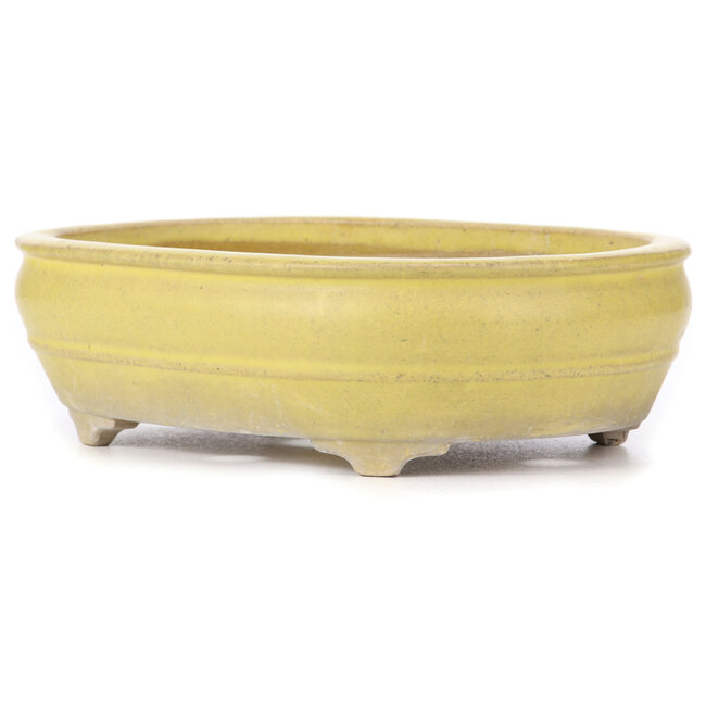 Ovale gele bonsaipot - 290 x 215 x 83 mm