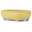 Oval yellow bonsai pot - 290 x 215 x 83 mm