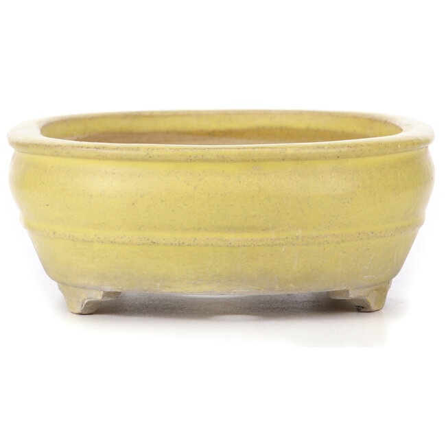 Oval yellow bonsai pot - 290 x 215 x 83 mm