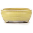 Oval yellow bonsai pot - 290 x 215 x 83 mm