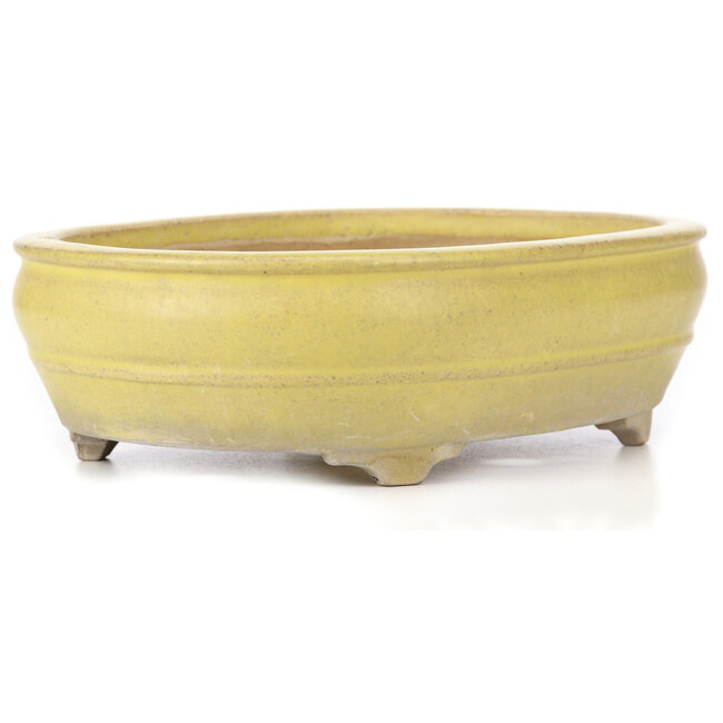 Oval yellow bonsai pot - 290 x 215 x 83 mm