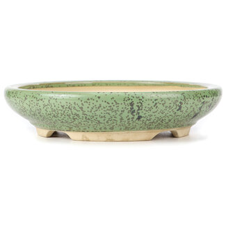 Seto 310 mm round green bonsai pot by Seto, Japan