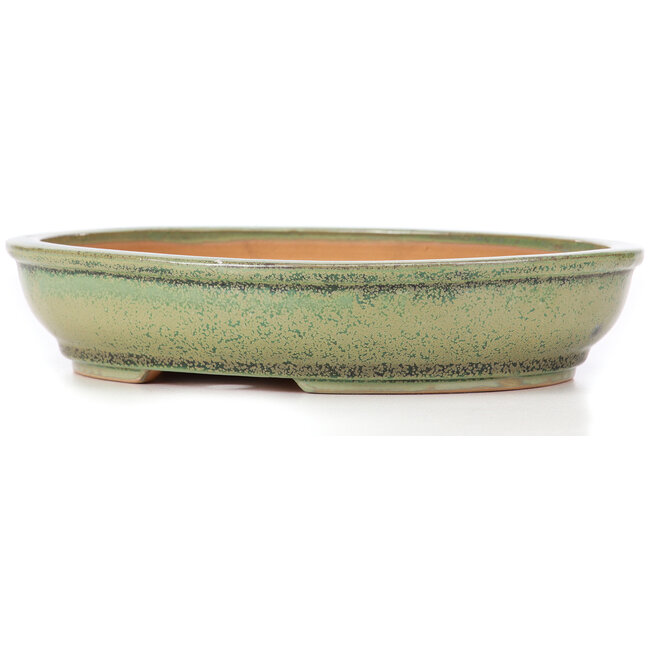 Ovale grüne Bonsaischale von Itouen - 255 x 210 x 50 mm