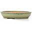 Oval green bonsai pot by Itouen - 255 x 210 x 50 mm