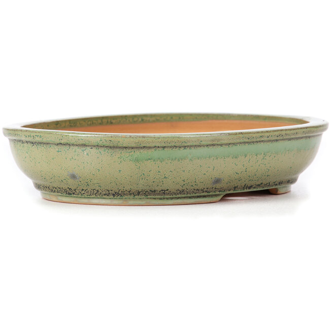 Maceta de bonsái verde ovalada de Itouen - 255 x 210 x 50 mm