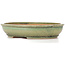 Oval green bonsai pot by Itouen - 255 x 210 x 50 mm