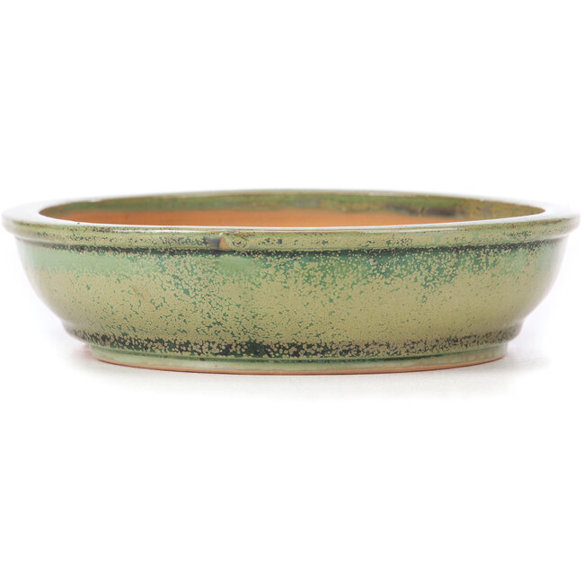 Oval green bonsai pot by Itouen - 255 x 210 x 50 mm