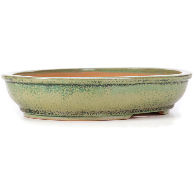 Oval green bonsai pot by Itouen - 255 x 210 x 50 mm