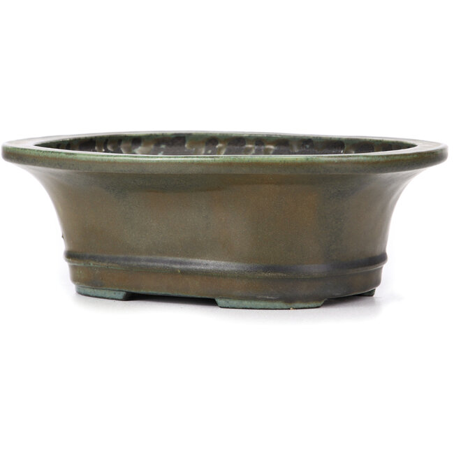 Ovale grüne Bonsaischale von Koyou - 300 x 241 x 100 mm