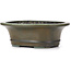 Ovale groene bonsai pot van Koyou - 300 x 241 x 100 mm