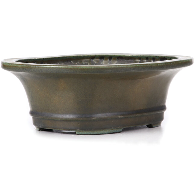 Pot à bonsaï ovale vert par Koyou - 300 x 241 x 100 mm