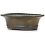 Oval green bonsai pot by Koyou - 300 x 241 x 100 mm