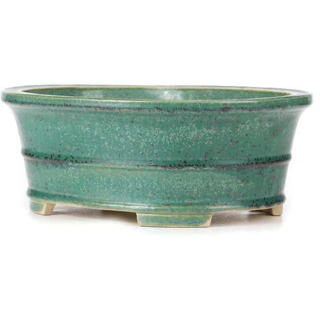 Pot à bonsaï vert ovale par Koyou - 310 x 243 x 113 mm
