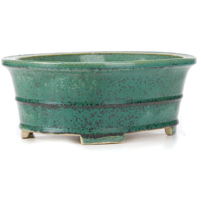 Oval green bonsai pot by Koyou - 310 x 243 x 113 mm