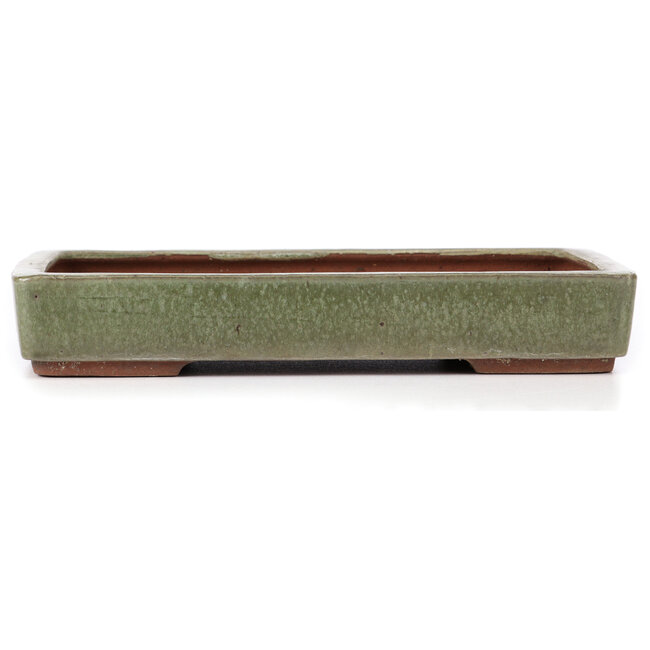 Rectangular green bonsai pot by Yozan - 313 x 215 x 50 mm