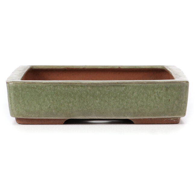 Rechthoekige groene bonsaipot van Yozan - 313 x 215 x 50 mm