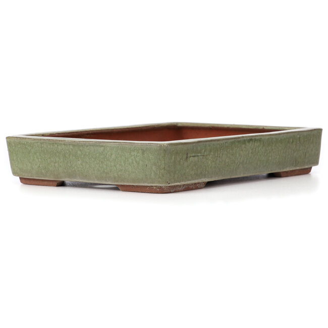 Vaso bonsai verde rettangolare di Yozan - 313 x 215 x 50 mm