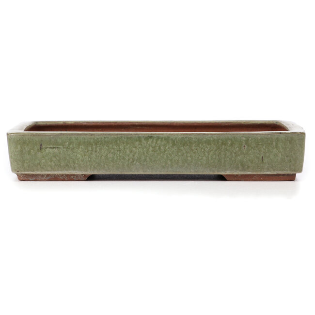 Rectangular green bonsai pot by Yozan - 313 x 215 x 50 mm