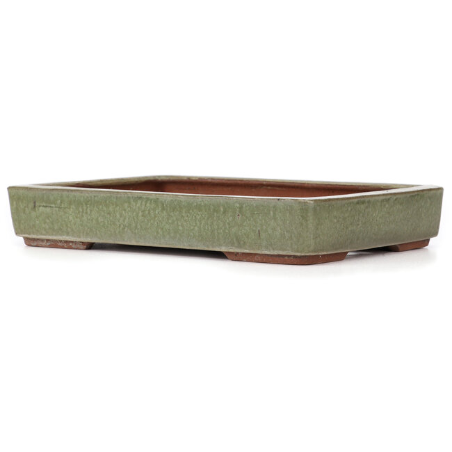 Rectangular green bonsai pot by Yozan - 313 x 215 x 50 mm