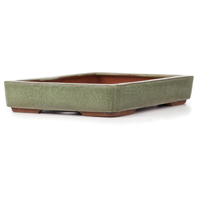 Rechteckige grüne Bonsaischale von Yozan - 313 x 215 x 50 mm