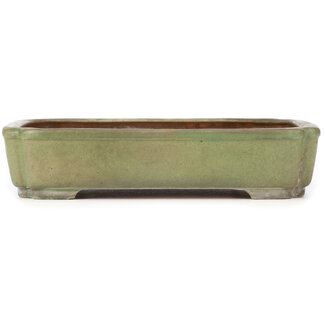 Hattori Tomoyuki Maceta de bonsái verde rectangular de 375 mm de Hattori, Tokoname, Japón