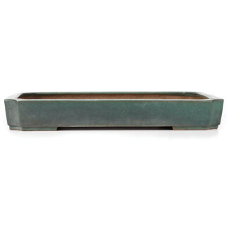 Reihou (Bonsai Matsushita Hiroyuki or Mr.MATSUSHITA Reiji    Master) 470 mm rectangular turquoise bonsai pot by Reiho, Tokoname, Japan