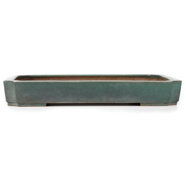 Pot à bonsaï rectangulaire turquoise par Reiho - 470 x 330 x 68 mm