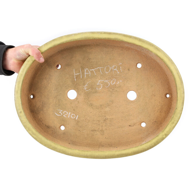 Maceta de bonsái amarilla ovalada de Hattori - 470 x 355 x 65 mm