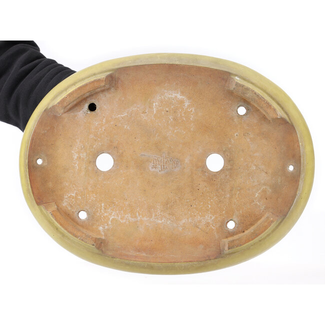 Oval yellow bonsai pot by Hattori - 470 x 355 x 65 mm