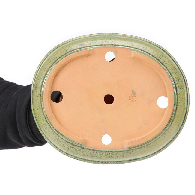 Vaso bonsai ovale verde di Itouen - 255 x 210 x 50 mm