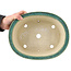 Pot à bonsaï vert ovale par Koyou - 310 x 243 x 113 mm