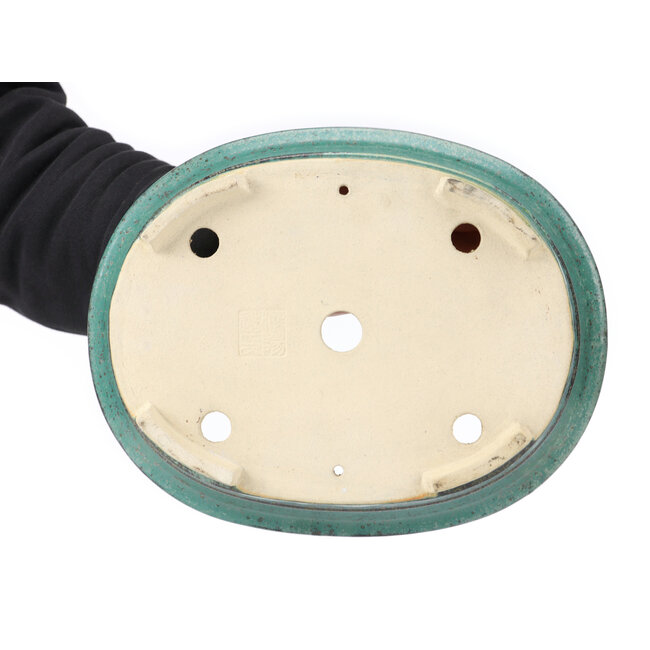 Maceta de bonsái verde ovalada de Koyou - 310 x 243 x 113 mm