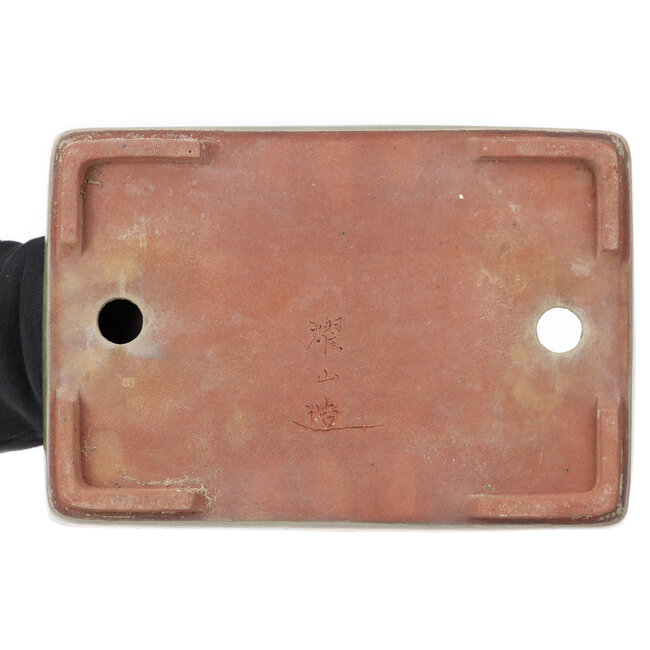 Pot à bonsaï vert rectangulaire par Yozan - 313 x 215 x 50 mm